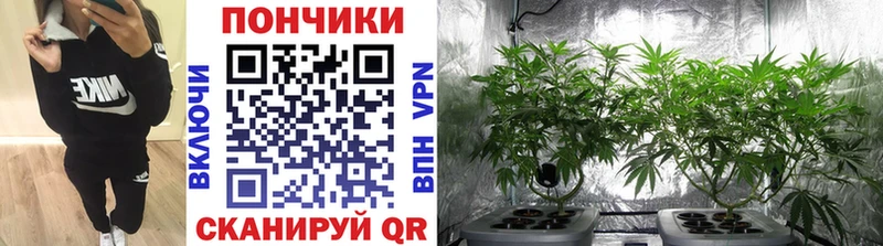 Продажа наркотиков Теберда Каннабис КОКАИН ГАШИШ Меф мяу мяу